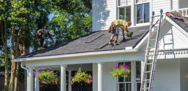 Roof Gutter Cleaning in Byron, CA